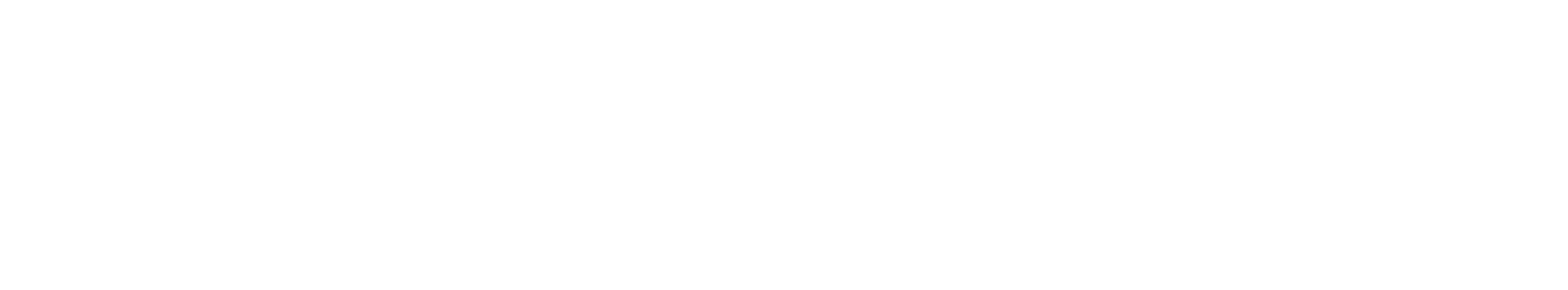 Troika Group